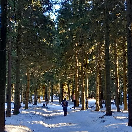 Ferienwohnung Tannenblick 6-2 Oberhof  Dış mekan fotoğraf